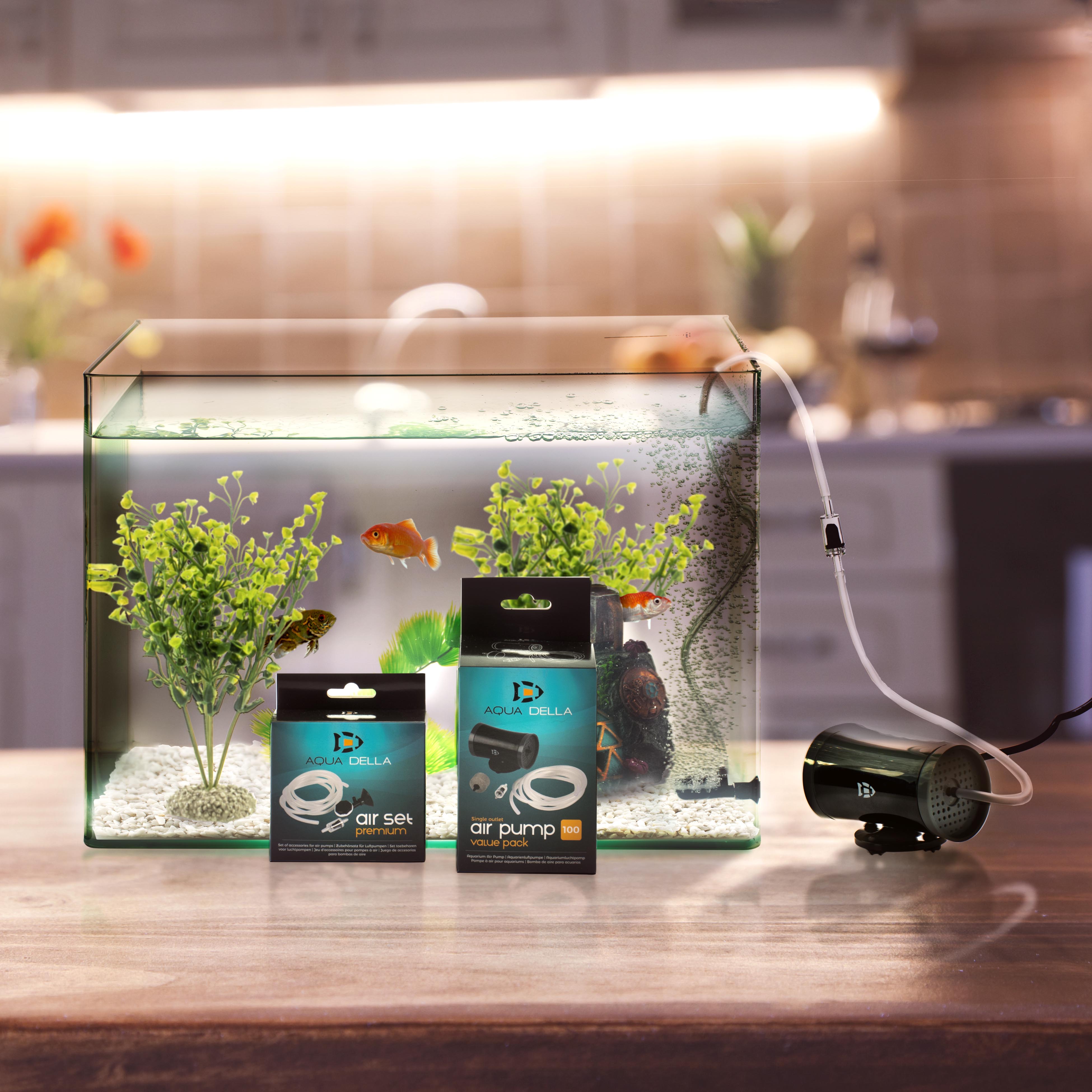 AQUA DELLA une marque d'aquariums avec un œil pour le design