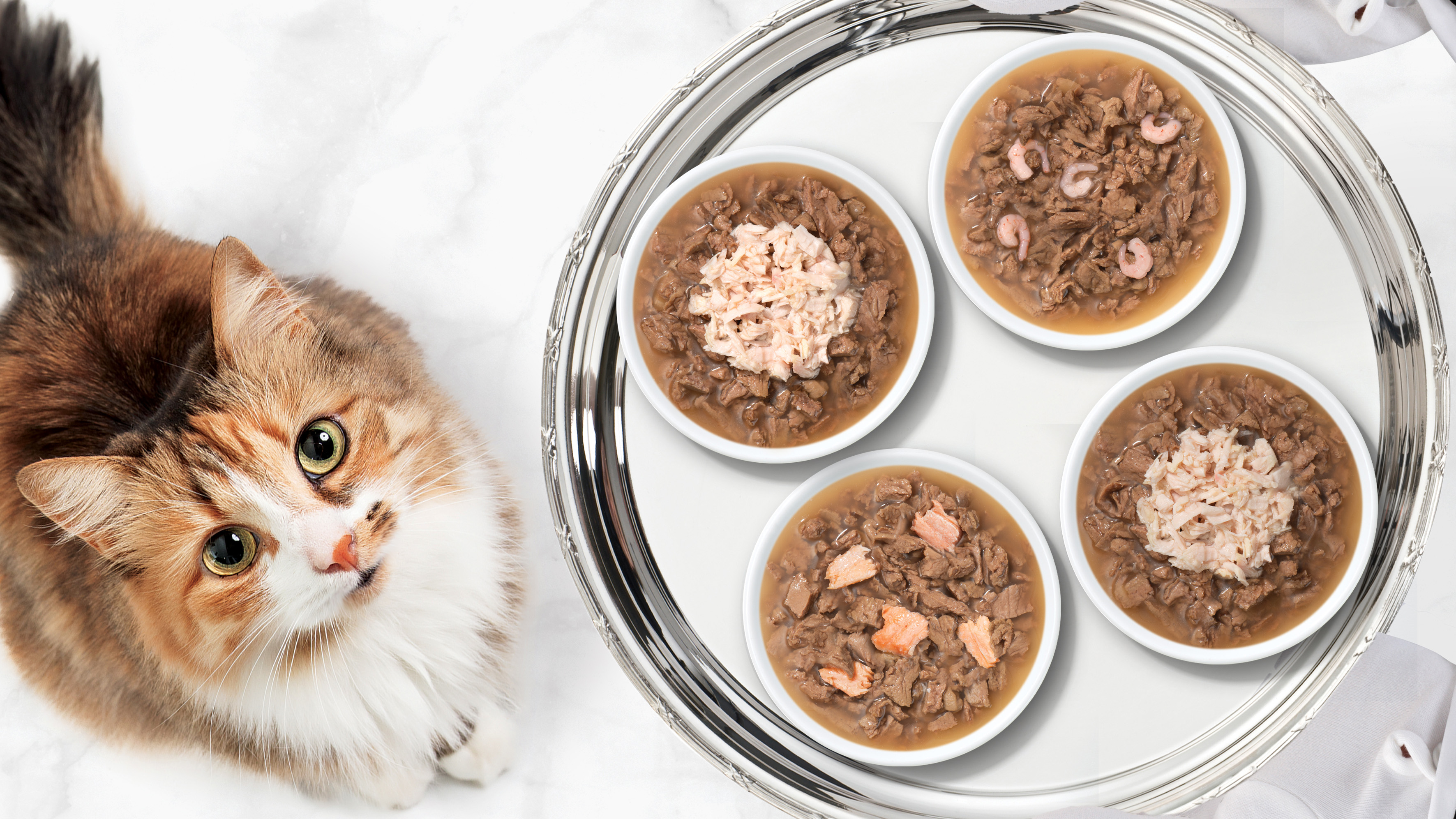 Catit Cuisine: culinair genieten voor elke fijnproever