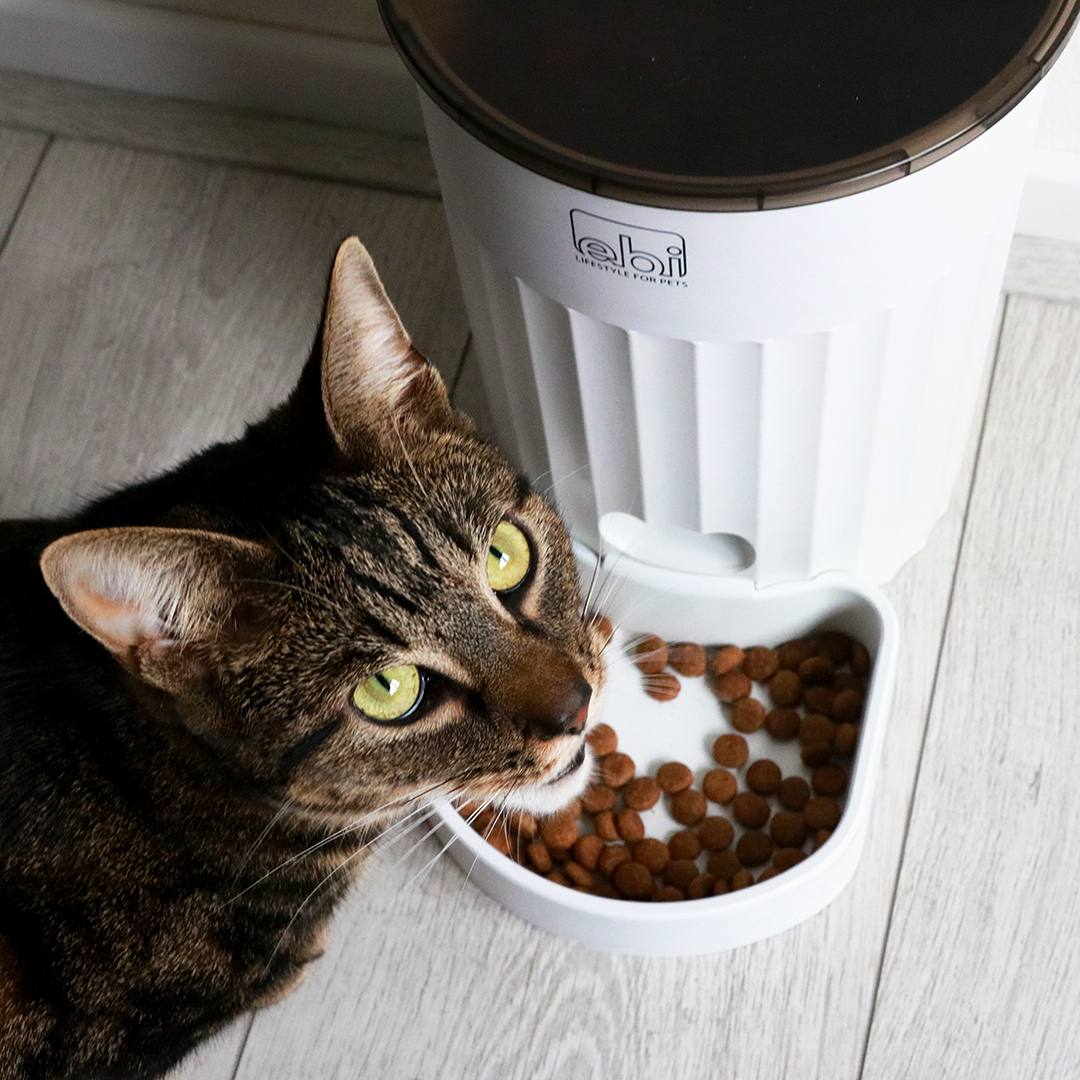 EBI's automatic feeding systems
