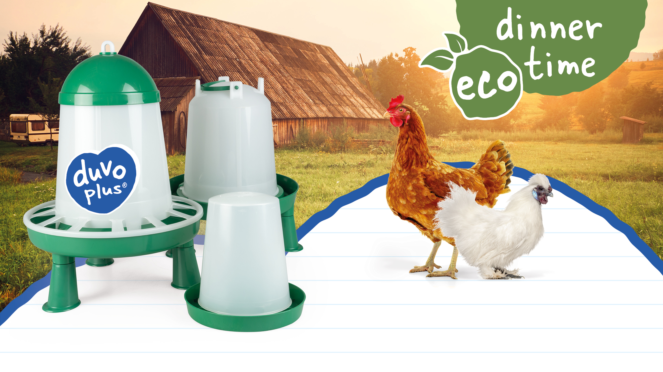 Ecological feeders and drinkers for chickens