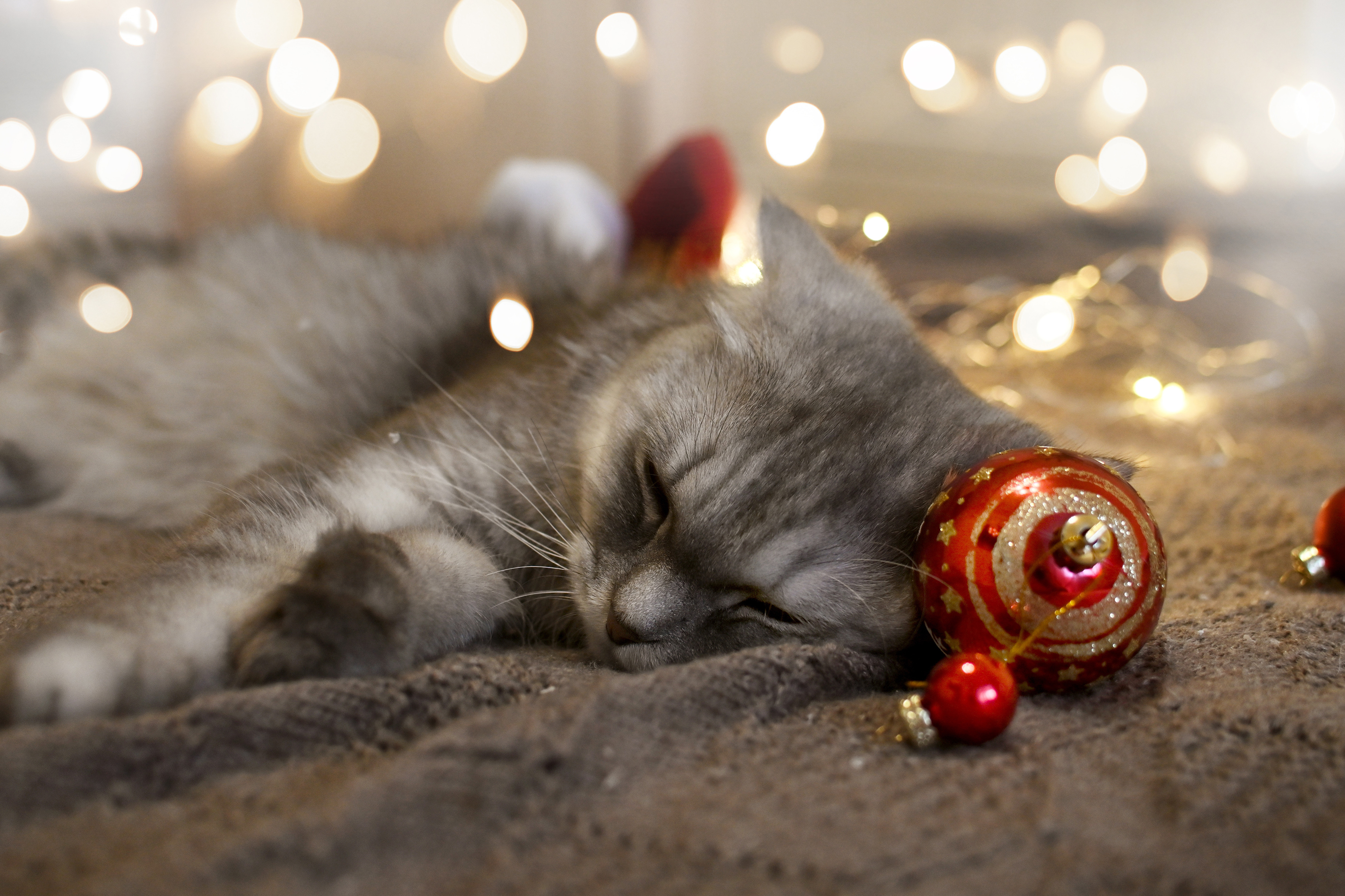 Happy holidays!