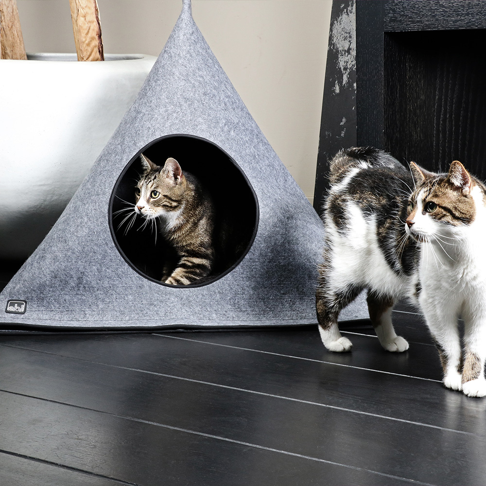 Hellen, Hazel & Duke, playtime!