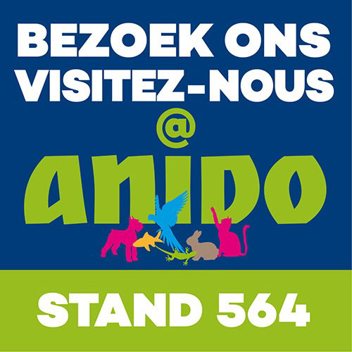 Rendez-nous visite à Anido