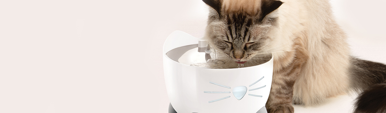 CatIt