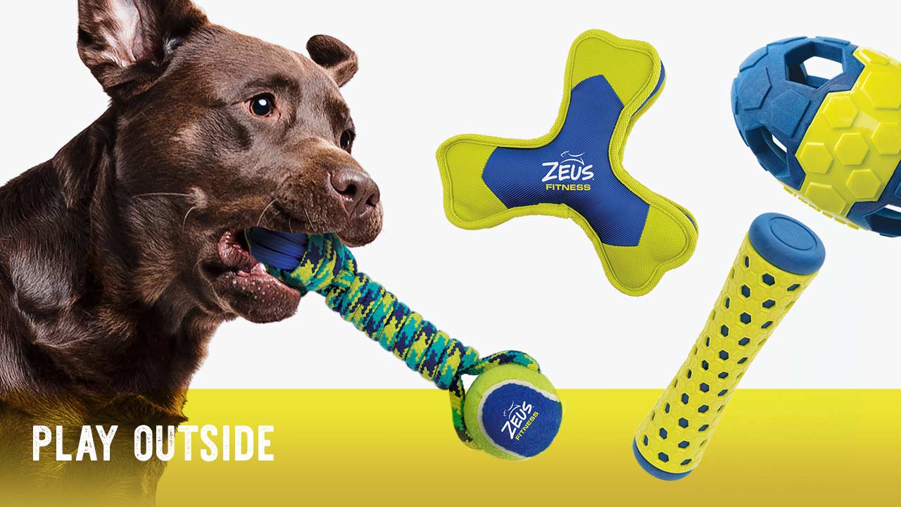 Zeus