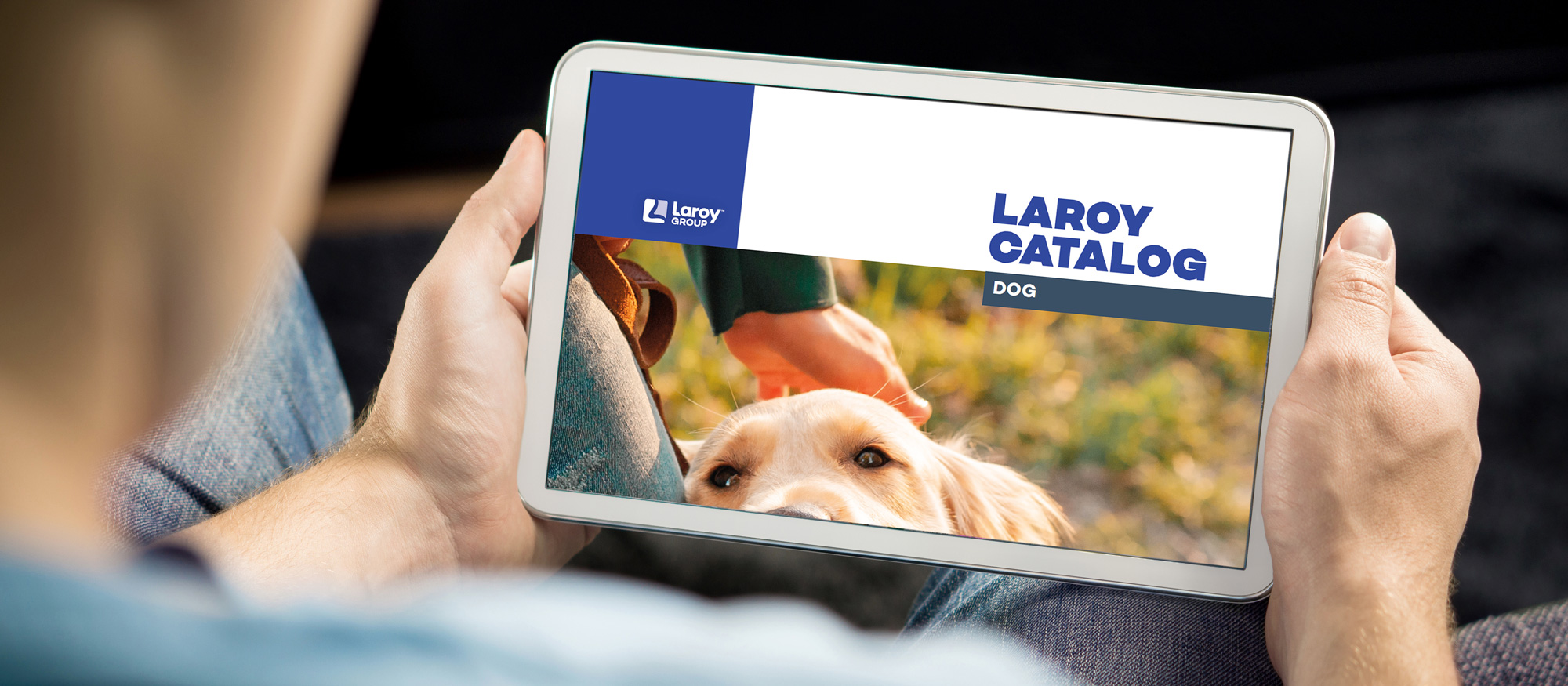 Online-catalogi-laroygroup