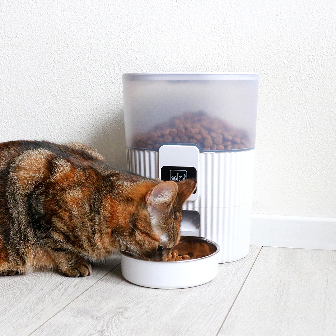 electronic feeder Tinago