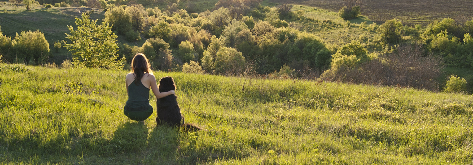 Hond en vrouw in een grasveld