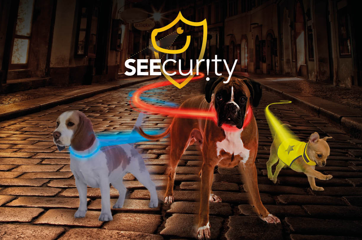 seecurity