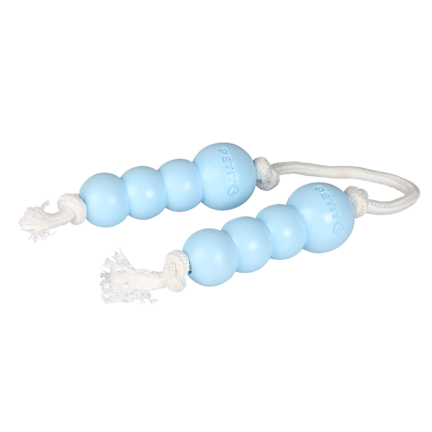 Pilou Petit bleu dogtoy