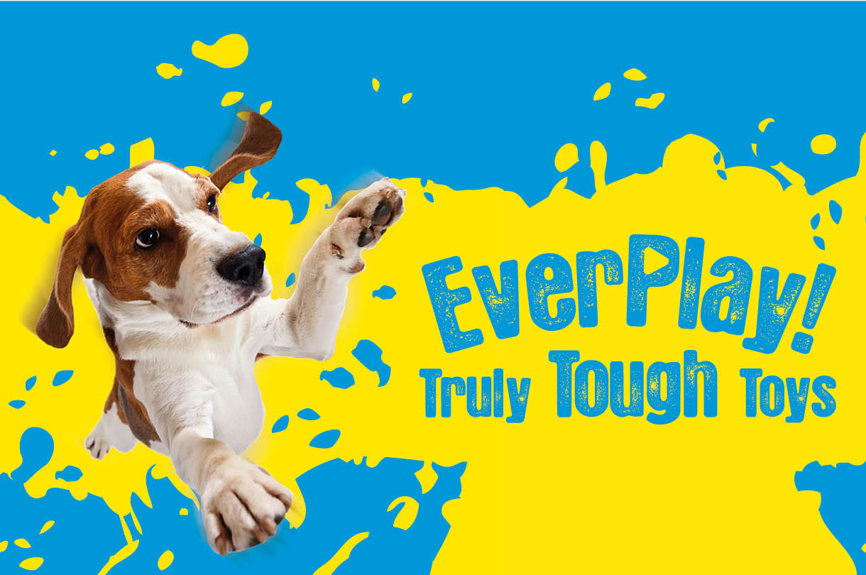 Everplay