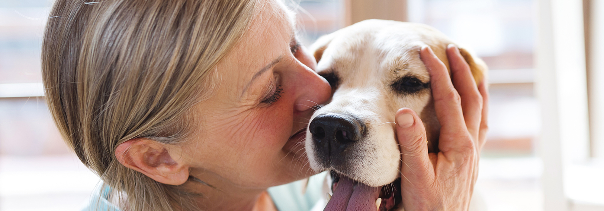 Een oudere vrouw knuffelt haar oude golden retriever